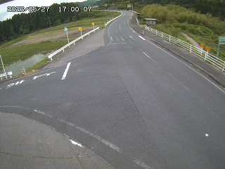 琴浦町三本杉