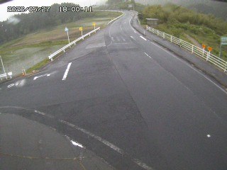 琴浦町三本杉