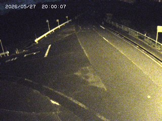 琴浦町三本杉