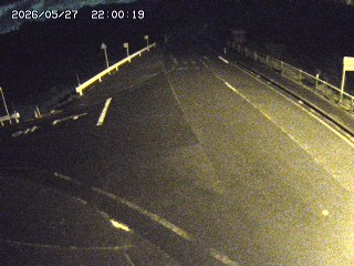 琴浦町三本杉