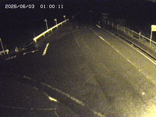 琴浦町三本杉