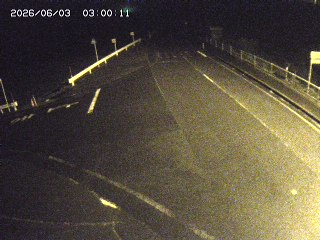 琴浦町三本杉