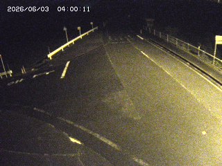 琴浦町三本杉