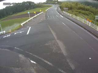 琴浦町三本杉