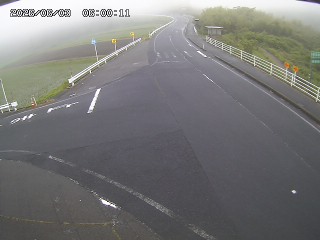 琴浦町三本杉