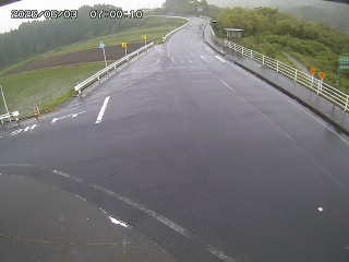 琴浦町三本杉