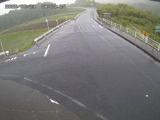 琴浦町三本杉
