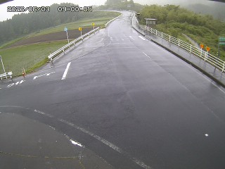 琴浦町三本杉