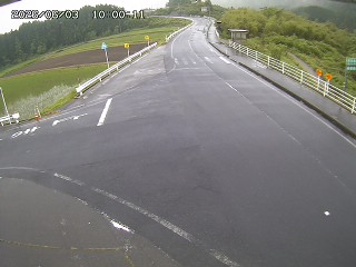 琴浦町三本杉