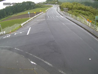 琴浦町三本杉