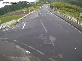 琴浦町三本杉