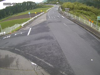 琴浦町三本杉