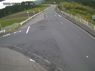 琴浦町三本杉