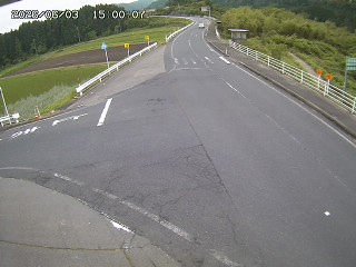 琴浦町三本杉