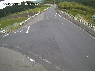 琴浦町三本杉