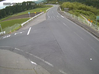 琴浦町三本杉