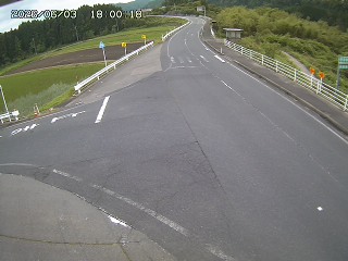 琴浦町三本杉