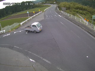 琴浦町三本杉