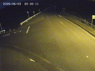 琴浦町三本杉