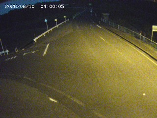 琴浦町三本杉