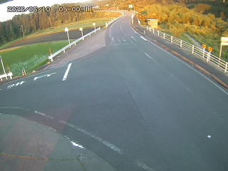琴浦町三本杉