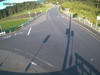 琴浦町三本杉