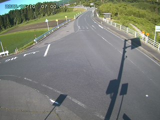 琴浦町三本杉