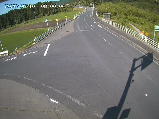 琴浦町三本杉