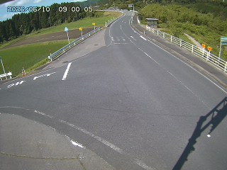 琴浦町三本杉