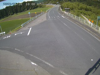 琴浦町三本杉