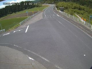 琴浦町三本杉