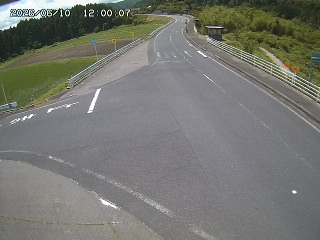 琴浦町三本杉