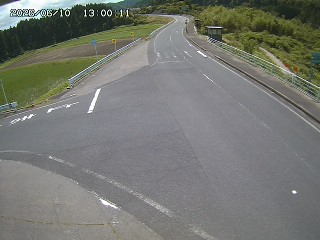 琴浦町三本杉