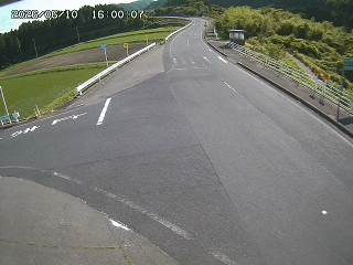 琴浦町三本杉