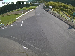 琴浦町三本杉