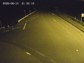 琴浦町三本杉