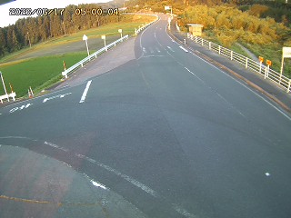 琴浦町三本杉
