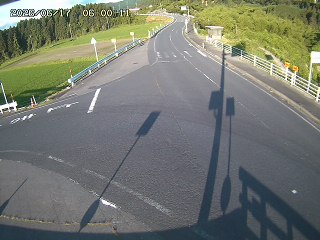 琴浦町三本杉