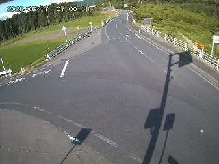 琴浦町三本杉