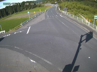 琴浦町三本杉