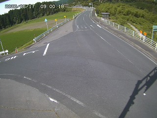 琴浦町三本杉