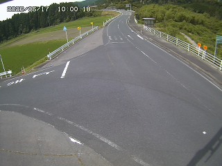 琴浦町三本杉