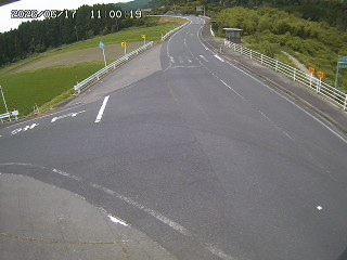 琴浦町三本杉