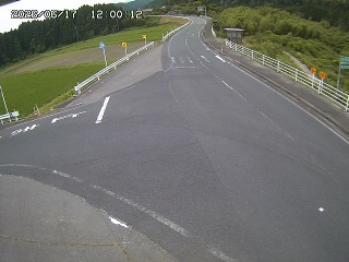 琴浦町三本杉
