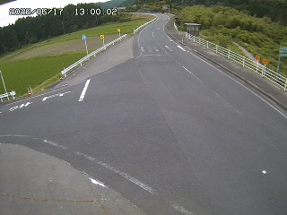 琴浦町三本杉