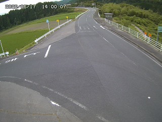 琴浦町三本杉