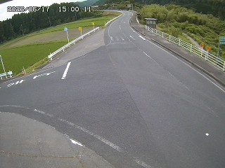 琴浦町三本杉