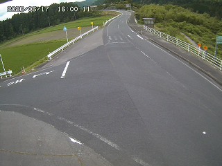 琴浦町三本杉