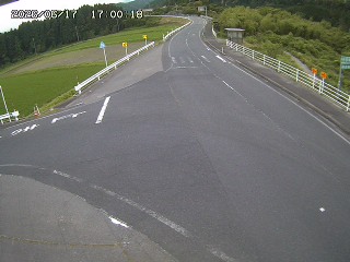 琴浦町三本杉