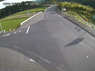 琴浦町三本杉